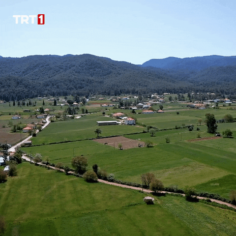Travel Golf GIF by TRT