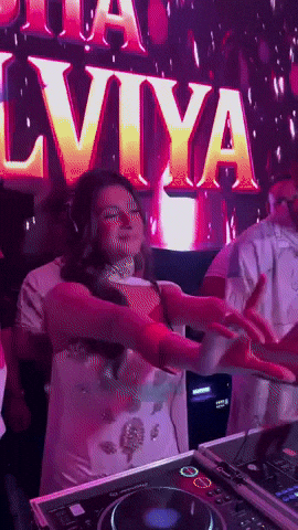 Fun Party GIF