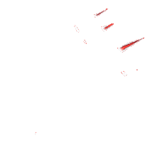 Wirtschaftsjunioren Hessen e.V. Sticker