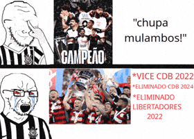 Copa Do Brasil B GIF