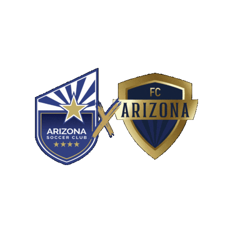 Soccer Thunder Sticker by FCARIZONA