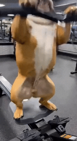 Flexing Work Out GIF