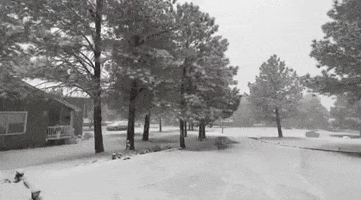 Snow Winter GIF by Storyful