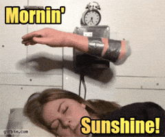 Good Morning GIF