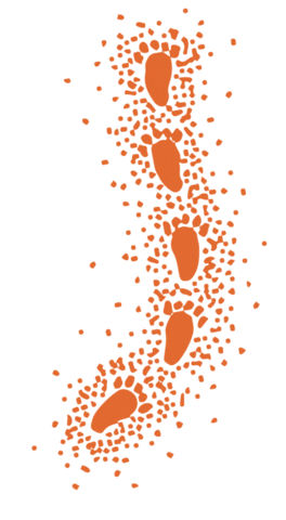 The University of Queensland Sticker