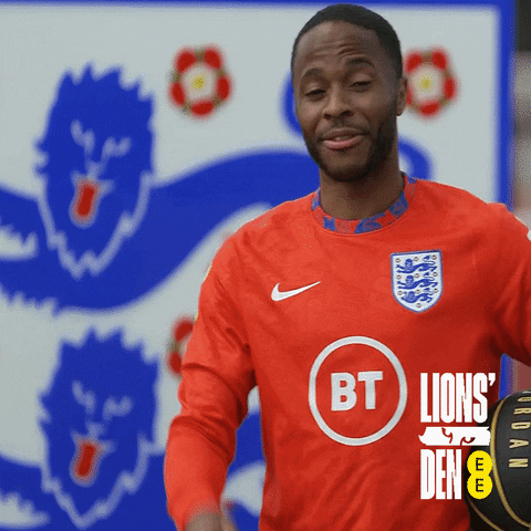 Celebrate Three Lions GIF by EE