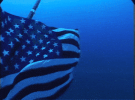370-Mar-238 GIF
