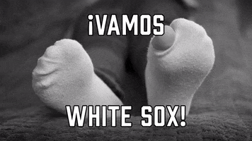 White Sox Sport GIF by Sealed With A GIF