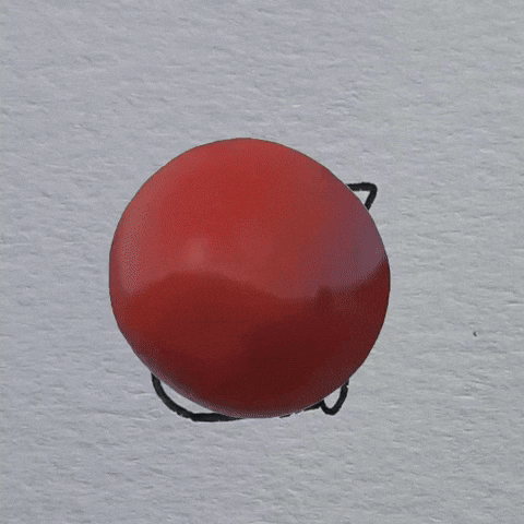 Cat GIF