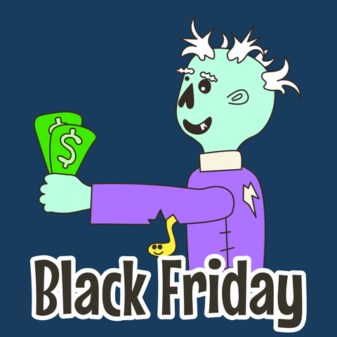 Black Friday Money GIF