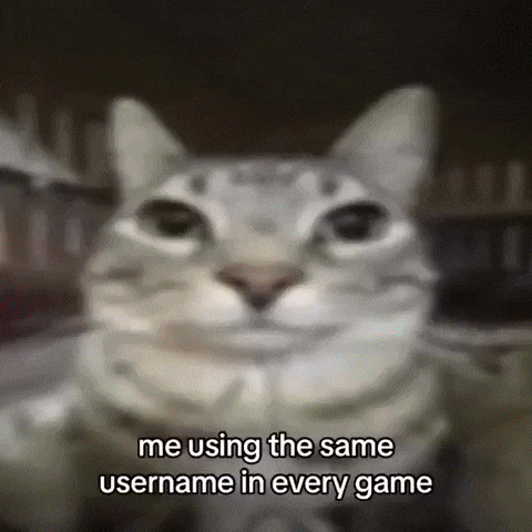 Cute Cat GIF by UGCPazar