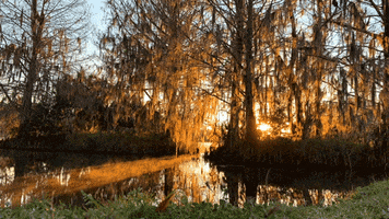 200.gif?cid=fc005b08c64804f1301880d583c70764068611daf6be631c&rid=200.gif&ct=g