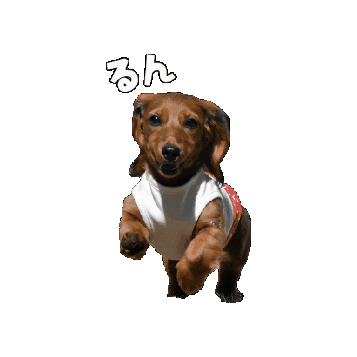 infkennel Sticker