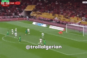 Morocco Algeria GIF