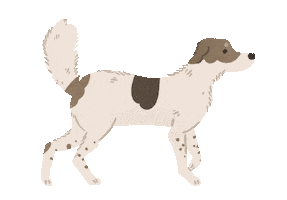 Animated Sticker