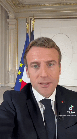 French President Macron GIF by systaime