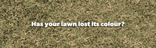 Green Grass Lawn Care GIF by Lawn Solutions Australia