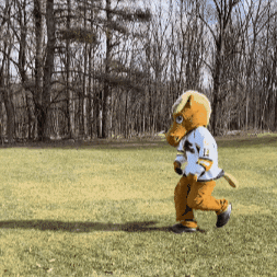 Mascot GIF by Skidmore College