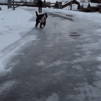 time winter GIF