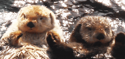 Hand In Hand Water GIF