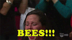 Cowboy Bebop Wallpaper Giphy Oprah Bees