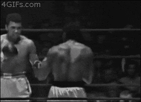 black and white fighting GIF