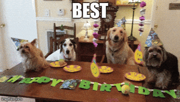 200.gif