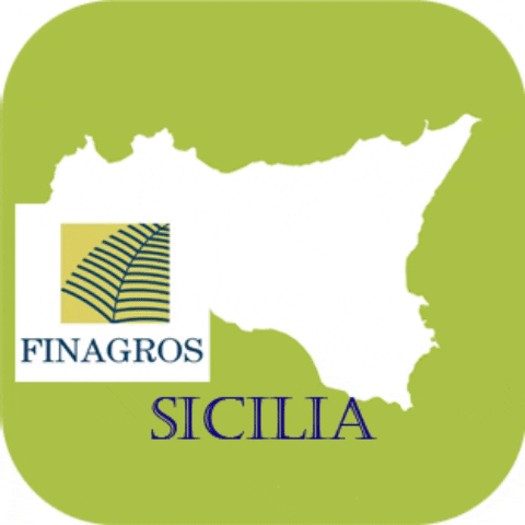 Finagros GIF