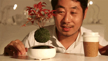 plants it's fucking floating GIF by Digg