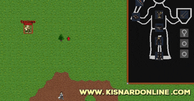 kisnardonline video game rpg mmorpg 2d mmo GIF