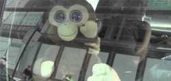 saludo mico GIF