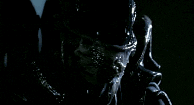 https://media2.giphy.com/media/10Sa8k39ZFtufu/giphy.gif