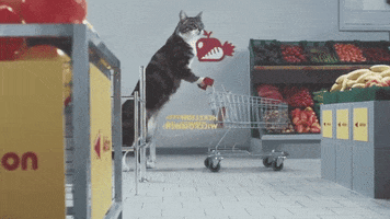 cat shopping GIF by Romy