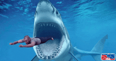Shark Attack GIFs - Find & Share on GIPHY