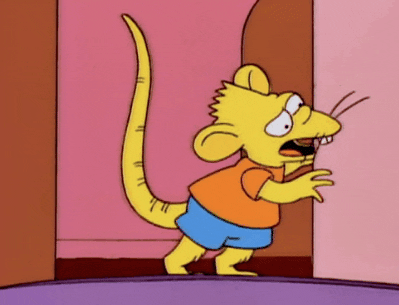 The Simpsons Rat GIF - Find & Share on GIPHY