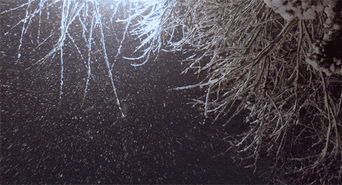 falling snow at night gif