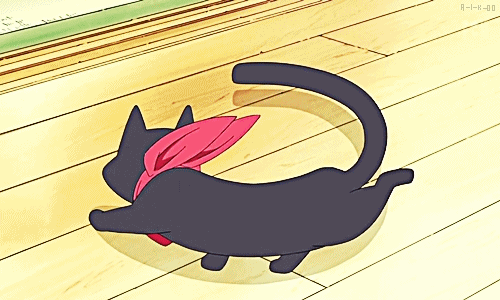 Resultado de imagem para GIF anime CAT