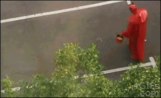 giphy.gif?cid=ecf05e47bn25vwrqc7yekd70id