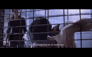 katherinesfforzza  GIF