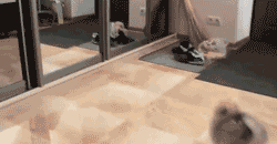 mirror GIF
