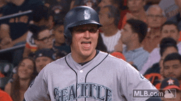 kyle seager GIF by MLB
