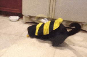 bees want GIF