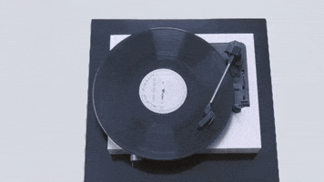 sub pop oops GIF by Sub Pop Records