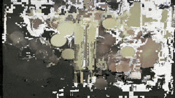 bobbyvenechanos  GIF