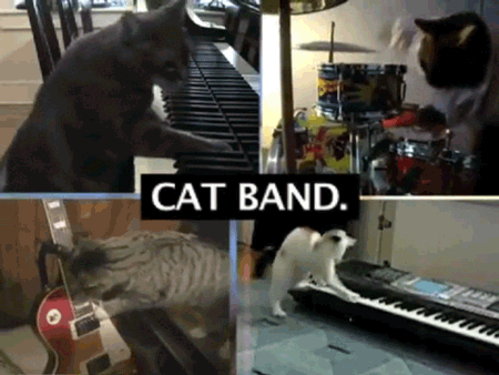 band GIF