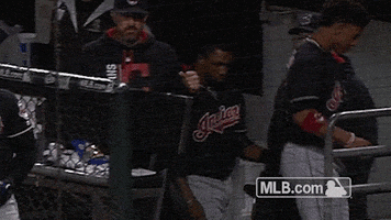 terry wow GIF by MLB