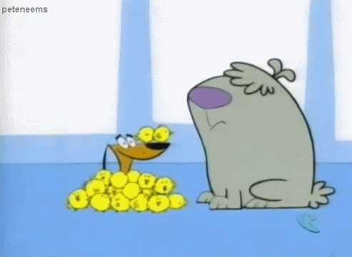 giphy.gif