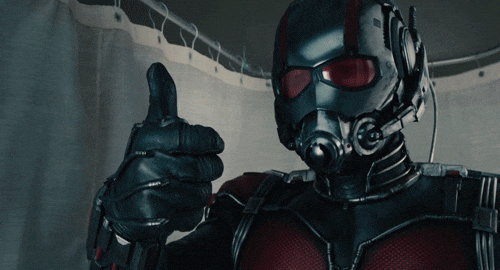 Ant Man Spoilers GIFs - Get the best GIF on GIPHY