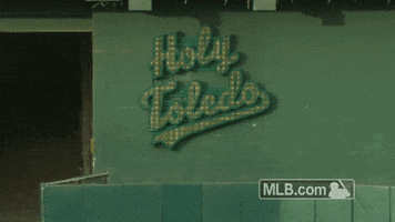 holy toledo GIF by MLB