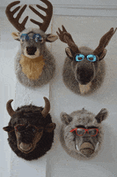 Les statistiques d'entraide-vidéastes 200.gif?cid=af3708f36m5do11ctd092wk8j82t7wlv2mbxgwh95hoxvn6y&rid=200